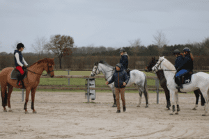 Sessions de perfectionnement CSO avec Pascal Henry