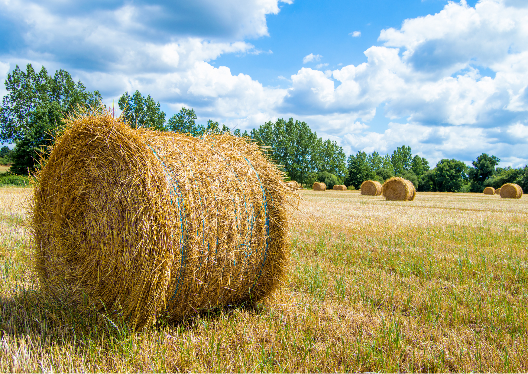 Carte d&rsquo;échanges de services