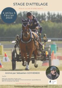 Stage perfectionnement attelage