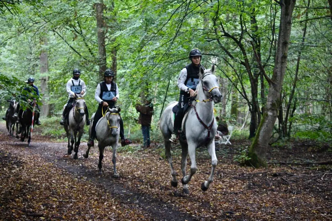 Règlement du Challenge d&rsquo;endurance